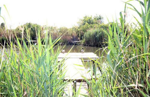 Estrella Del Mar, Denia - Foto 55