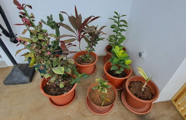 Apartamentos Santiago - Tarrafal - Foto 28