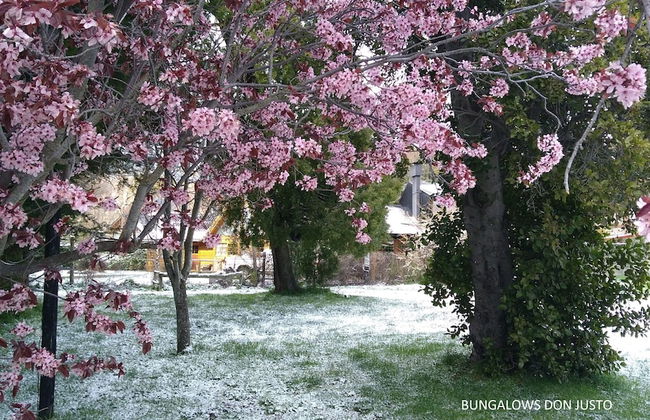 Don Justo - Photo 31