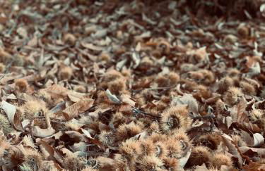 LA CASA REBONITA - Foto 43