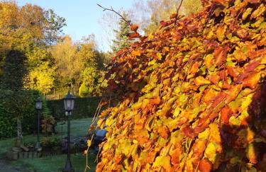 Deine-Eifel-Ferienwohnung - Foto 67