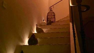 villa entre st rémy de provence et avignon - Foto 3