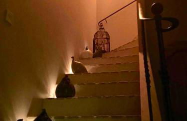 villa entre st rémy de provence et avignon - Foto 3