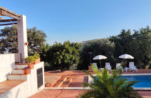 Los Tréboles - Foto 10