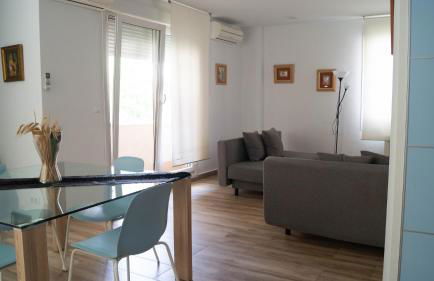 Zaragoza y sus 2 catedrales - Foto 10