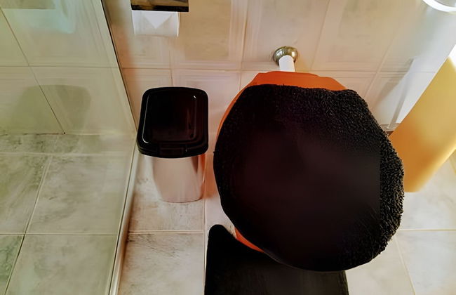 Cottages Bem-te-Vi e Beija-Flor, Mata Atlântica, Pesca, Natureza - Foto 54