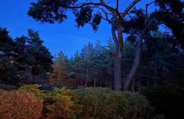 Apartament Bornholm - Foto 46