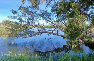 El Faro de Nules - Foto 11