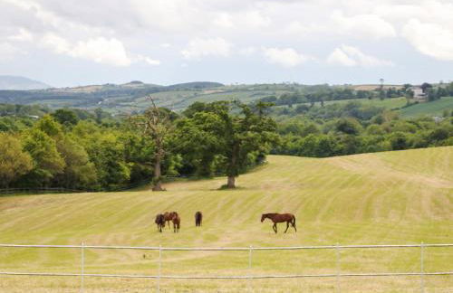 Scarvagh House - Foto 41