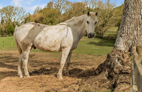 5 Bed in Sturminster Newton oc-76458 - Foto 20