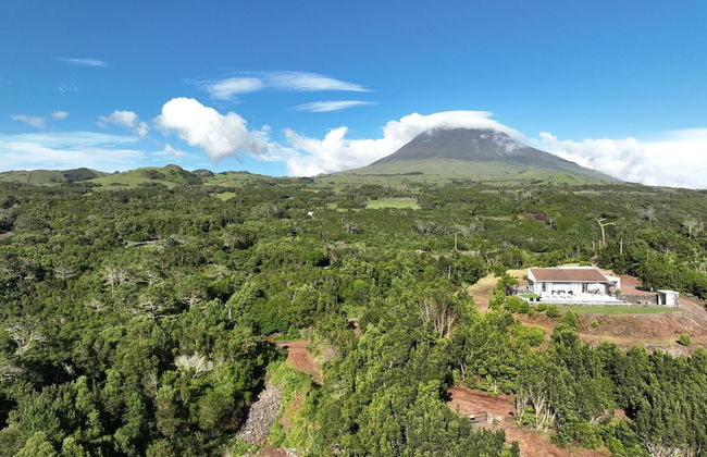 Pico Terrace - Foto 18