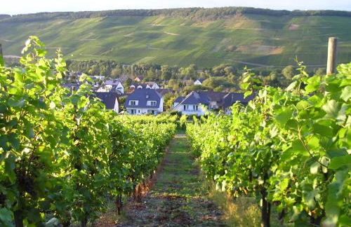 Roussel Hotel Restaurant - Photo 37