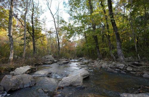 Meadows Mill House III - Foto 27