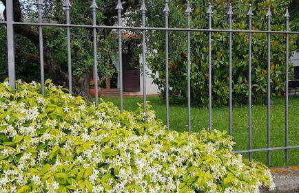 Sunshine Home - Foto 8