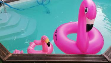 maison calme avec piscine palmiers 300m de la plage pornichet centre - Foto 4, Garden