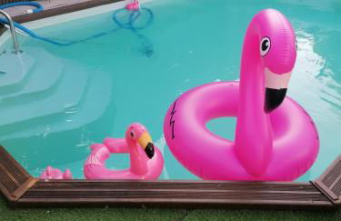 maison calme avec piscine palmiers 300m de la plage pornichet centre - Foto 4