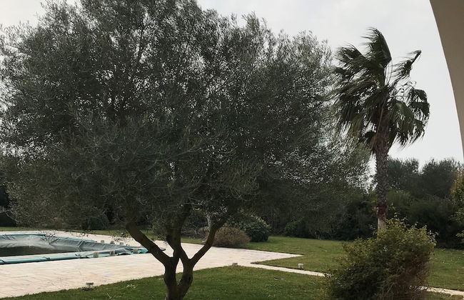 Relais Masseria Della Colomba - Foto 15