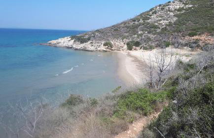 Villa Dunes 350m from the sandy beach - Foto 39