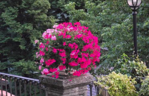 Villa Castiglioni Apartment - Foto 35