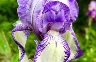 The Barn House - Foto 34