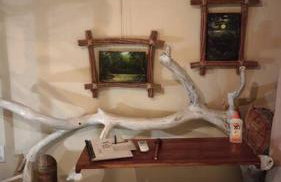 Magia da Florada - Foto 6