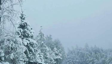 Domek przy Modrzewiach - Foto 3