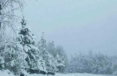 Domek przy Modrzewiach - Foto 3