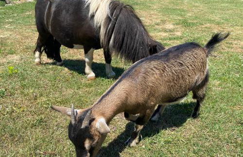 Meridiem Holiday Home in Dubrovnik region - Foto 73