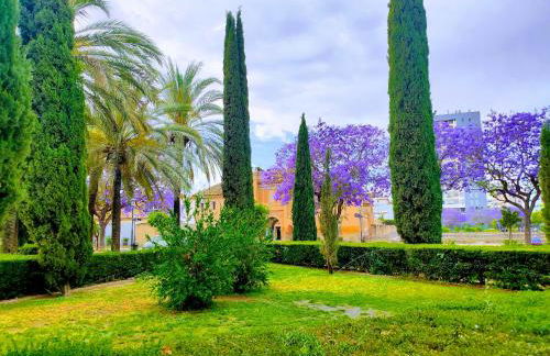 Apartamento Plaza de San Bernardo 4 - Foto 15