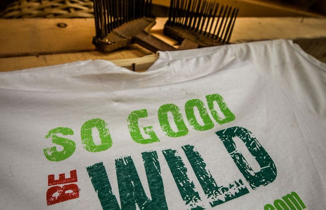 Camp Divlja Rijeka - Foto 17