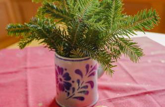 Ferienwohnung Schimmer mit Bergblick im ruhigen, naturverbundenen Ferienpark Vorauf, Siegsdorf - Foto 17