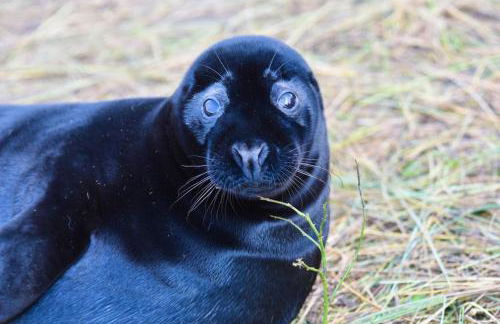 The Barn at Whitehouse Farm 18th century 3 bed Barn- Beautifully converted - Foto 11
