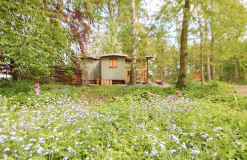 Bracken Fern - Photo 22