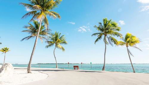 NAUTILUS...ocean front cottage retreat ~ - Foto 5