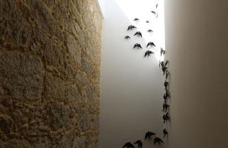 Casa dos Macieis - Entire Main House, Entire Guesthouse or Separate Wing of Main House - Camino Santiago direct access & Optional Agritourism - Foto 79