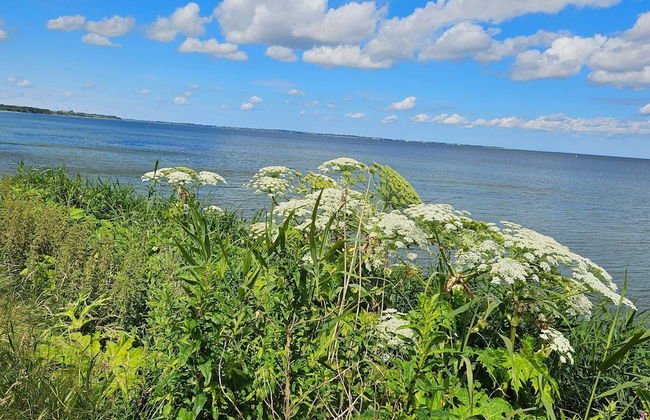 4 Person Holiday Home in Nykobing M-by Traum - Foto 3