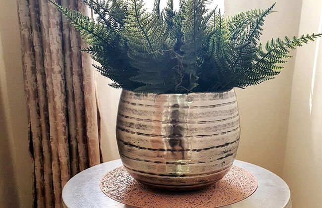 Secure Solar Powered two Bedroomed Haven - Photo 18