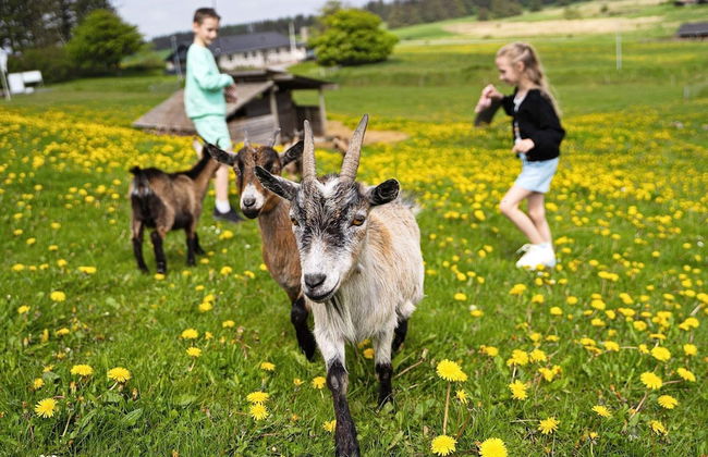 6 Person Holiday Home on a Holiday Park in Hanstholm - Foto 18