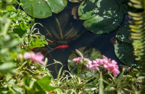 Villa Eleonas - Foto 50