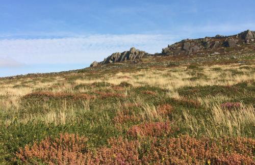 Rhiw 2 Bryn Tirion - Foto 9