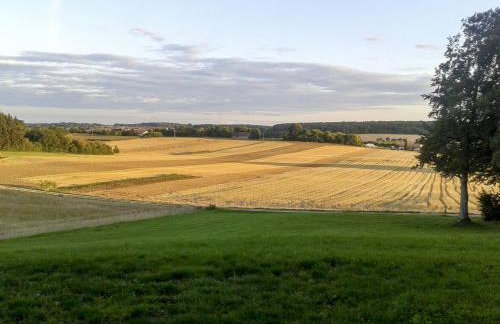 Hof am Horn - Fewos in der Natur - Photo 17