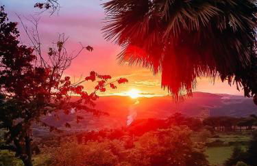 Podere Bellavista - Foto 11