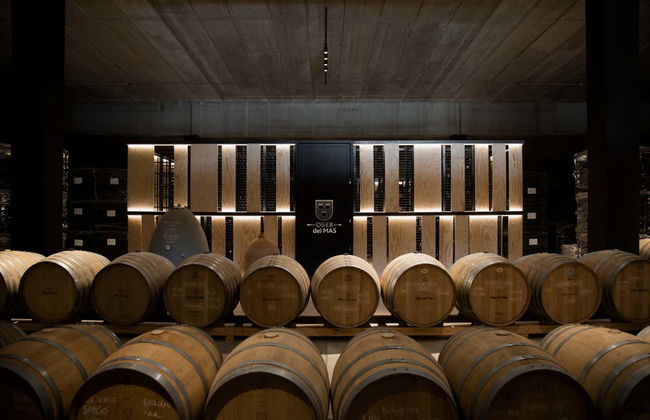 Visita alla cantina Oller del Mas - Foto 3