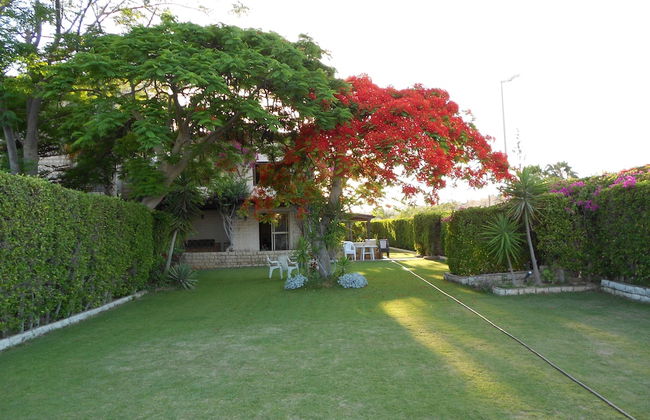 Marina Villa North Coast Egypt - Photo 14