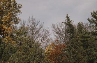 Beautiful Lake Champlain Lake Home with Private Beach - Foto 13