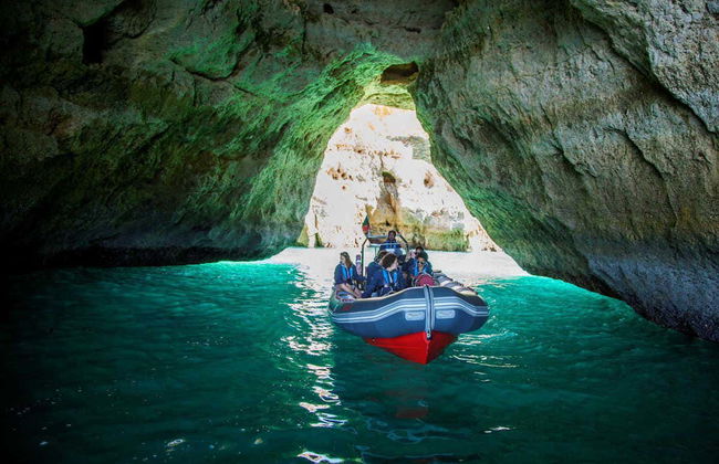 Dolphin Watching in Albufeira - Photo 2