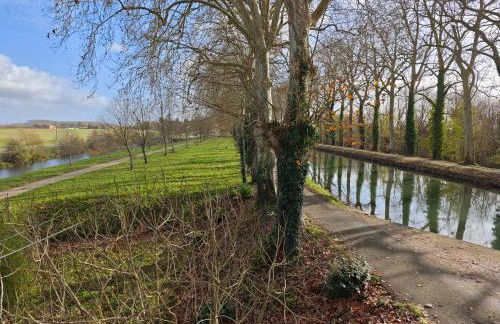 Les coccinelles - Foto 14