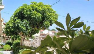 Vicky's Guesthouse - Foto 4