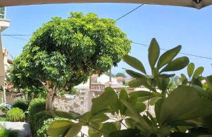 Vicky's Guesthouse - Foto 4