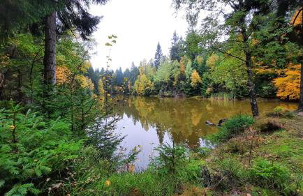 Ferienhaus am Erzgebirgskamm - Foto 30